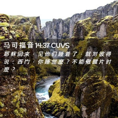 Picture 02 - 马 可 福 音 14:37 CUVS - 耶 稣 回 来 ， 见 他 们 睡 着 了 ， - Bible Verse Picture