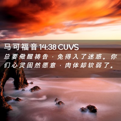 Picture 02 - 马 可 福 音 14:38 CUVS - 总 要 儆 醒 祷 告 ， 免 得 入 了 迷 - Bible Verse Picture