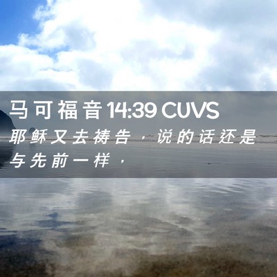 Picture 02 - 马 可 福 音 14:39 CUVS - 耶 稣 又 去 祷 告 ， 说 的 话 还 是 - Bible Verse Picture