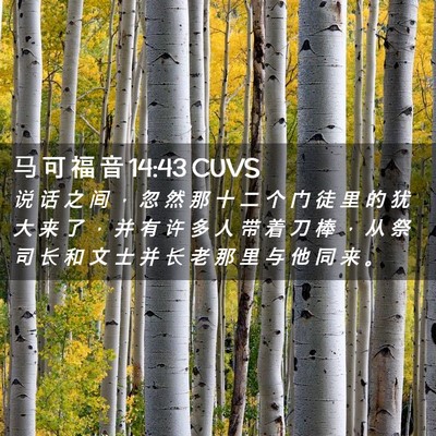 Picture 02 - 马 可 福 音 14:43 CUVS - 说 话 之 间 ， 忽 然 那 十 二 个 门 - Bible Verse Picture