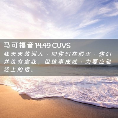 Picture 02 - 马 可 福 音 14:49 CUVS - 我 天 天 教 训 人 ， 同 你 们 在 殿 - Bible Verse Picture