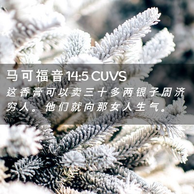 Picture 02 - 马 可 福 音 14:5 CUVS - 这 香 膏 可 以 卖 三 十 多 两 银 子 - Bible Verse Picture
