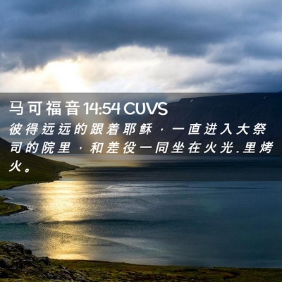 Picture 02 - 马 可 福 音 14:54 CUVS - 彼 得 远 远 的 跟 着 耶 稣 ， 一 直 - Bible Verse Picture