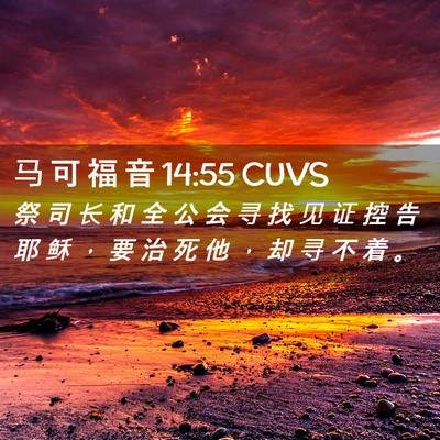 Picture 02 - 马 可 福 音 14:55 CUVS - 祭 司 长 和 全 公 会 寻 找 见 证 控 - Bible Verse Picture
