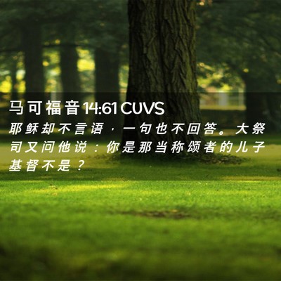 Picture 02 - 马 可 福 音 14:61 CUVS - 耶 稣 却 不 言 语 ， 一 句 也 不 回 - Bible Verse Picture