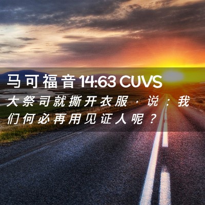 Picture 02 - 马 可 福 音 14:63 CUVS - 大 祭 司 就 撕 开 衣 服 ， 说 ： 我 - Bible Verse Picture
