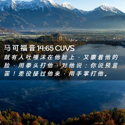 Picture 02 - 马 可 福 音 14:65 CUVS - 就 有 人 吐 唾 沫 在 他 脸 上 ， 又 - Bible Verse Picture