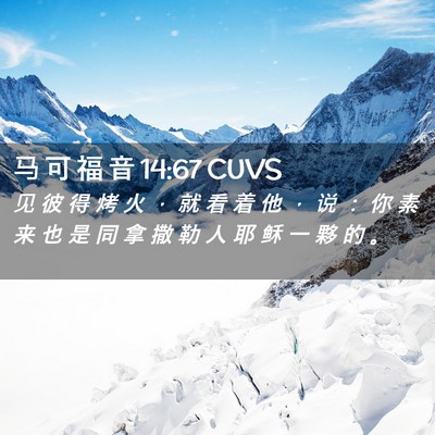 Picture 02 - 马 可 福 音 14:67 CUVS - 见 彼 得 烤 火 ， 就 看 着 他 ， 说 - Bible Verse Picture
