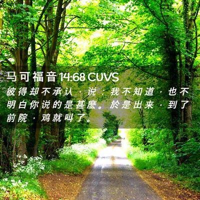 Picture 02 - 马 可 福 音 14:68 CUVS - 彼 得 却 不 承 认 ， 说 ： 我 不 知 - Bible Verse Picture