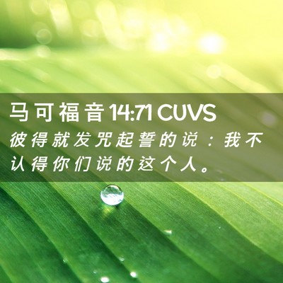 Picture 02 - 马 可 福 音 14:71 CUVS - 彼 得 就 发 咒 起 誓 的 说 ： 我 不 - Bible Verse Picture