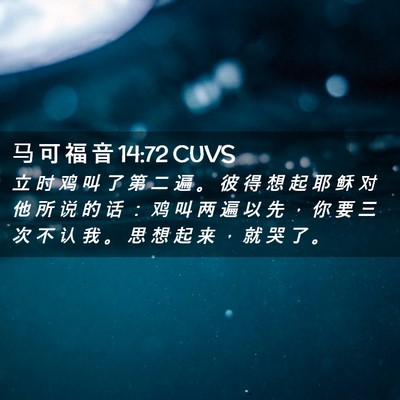 Picture 02 - 马 可 福 音 14:72 CUVS - 立 时 鸡 叫 了 第 二 遍 。 彼 得 想 - Bible Verse Picture