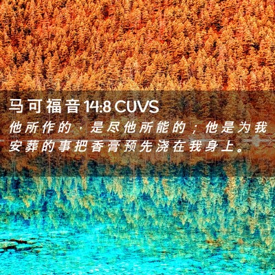 Picture 02 - 马 可 福 音 14:8 CUVS - 他 所 作 的 ， 是 尽 他 所 能 的 ； - Bible Verse Picture