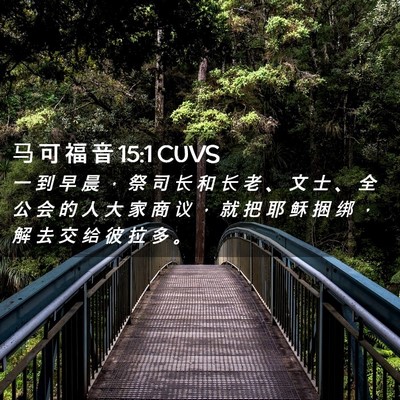 Picture 02 - 马 可 福 音 15:1 CUVS - 一 到 早 晨 ， 祭 司 长 和 长 老 、 - Bible Verse Picture
