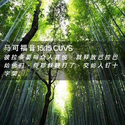 Picture 02 - 马 可 福 音 15:15 CUVS - 彼 拉 多 要 叫 众 人 喜 悦 ， 就 释 - Bible Verse Picture