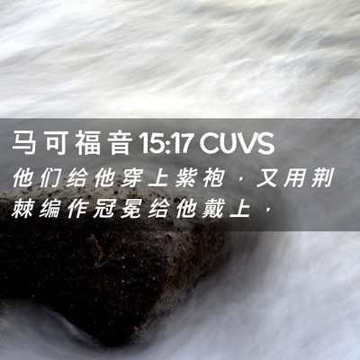 Picture 02 - 马 可 福 音 15:17 CUVS - 他 们 给 他 穿 上 紫 袍 ， 又 用 荆 - Bible Verse Picture