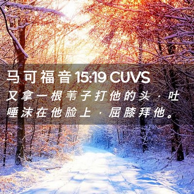 Picture 02 - 马 可 福 音 15:19 CUVS - 又 拿 一 根 苇 子 打 他 的 头 ， 吐 - Bible Verse Picture