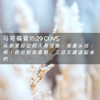 Picture 02 - 马 可 福 音 15:29 CUVS - 从 那 里 经 过 的 人 辱 骂 他 ， 摇 - Bible Verse Picture