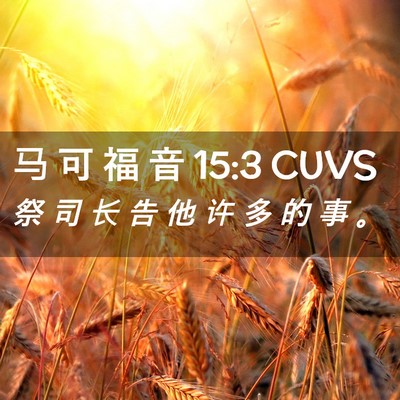 Picture 02 - 马 可 福 音 15:3 CUVS - 祭 司 长 告 他 许 多 的 事 - Bible Verse Picture