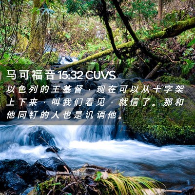 Picture 02 - 马 可 福 音 15:32 CUVS - 以 色 列 的 王 基 督 ， 现 在 可 以 - Bible Verse Picture