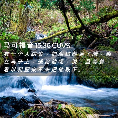 Picture 02 - 马 可 福 音 15:36 CUVS - 有 一 个 人 跑 去 ， 把 海 绒 蘸 满 - Bible Verse Picture