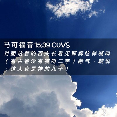 Picture 02 - 马 可 福 音 15:39 CUVS - 对 面 站 着 的 百 夫 长 看 见 耶 稣 - Bible Verse Picture