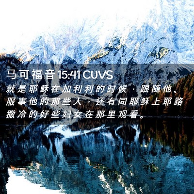 Picture 02 - 马 可 福 音 15:41 CUVS - 就 是 耶 稣 在 加 利 利 的 时 候 ， - Bible Verse Picture