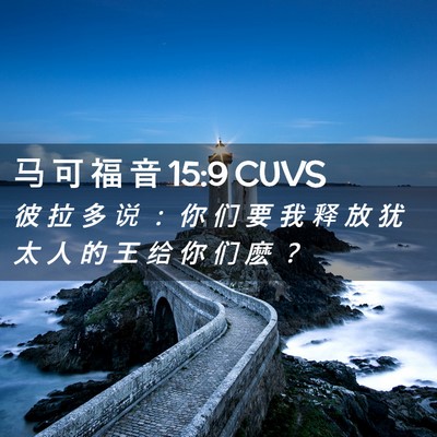 Picture 02 - 马 可 福 音 15:9 CUVS - 彼 拉 多 说 ： 你 们 要 我 释 放 犹 - Bible Verse Picture
