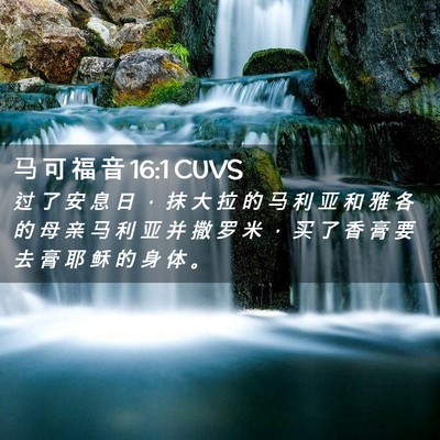 Picture 02 - 马 可 福 音 16:1 CUVS - 过 了 安 息 日 ， 抹 大 拉 的 马 利 - Bible Verse Picture