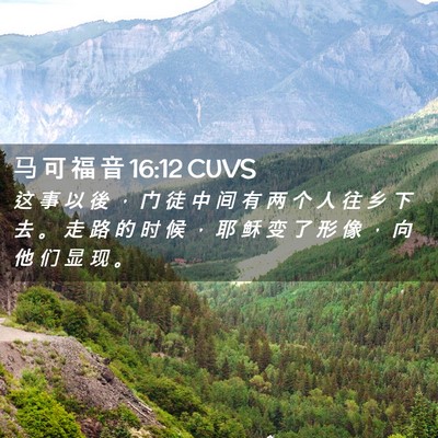 Picture 02 - 马 可 福 音 16:12 CUVS - 这 事 以 後 ， 门 徒 中 间 有 两 个 - Bible Verse Picture