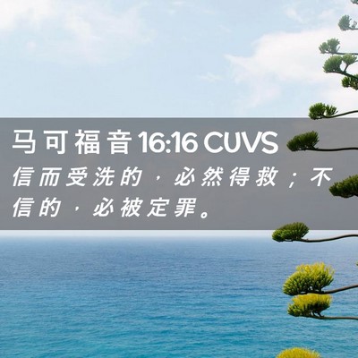 Picture 02 - 马 可 福 音 16:16 CUVS - 信 而 受 洗 的 ， 必 然 得 救 ； 不 - Bible Verse Picture