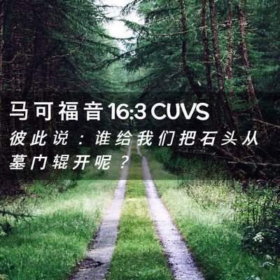 Picture 02 - 马 可 福 音 16:3 CUVS - 彼 此 说 ： 谁 给 我 们 把 石 头 从 - Bible Verse Picture