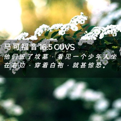 Picture 02 - 马 可 福 音 16:5 CUVS - 他 们 进 了 坟 墓 ， 看 见 一 个 少 - Bible Verse Picture