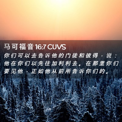 Picture 02 - 马 可 福 音 16:7 CUVS - 你 们 可 以 去 告 诉 他 的 门 徒 和 - Bible Verse Picture