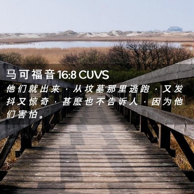 Picture 02 - 马 可 福 音 16:8 CUVS - 他 们 就 出 来 ， 从 坟 墓 那 里 逃 - Bible Verse Picture