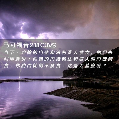 Picture 02 - 马 可 福 音 2:18 CUVS - 当 下 ， 约 翰 的 门 徒 和 法 利 赛 - Bible Verse Picture