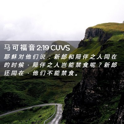 Picture 02 - 马 可 福 音 2:19 CUVS - 耶 稣 对 他 们 说 ： 新 郎 和 陪 伴 - Bible Verse Picture