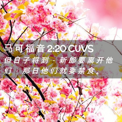 Picture 02 - 马 可 福 音 2:20 CUVS - 但 日 子 将 到 ， 新 郎 要 离 开 他 - Bible Verse Picture
