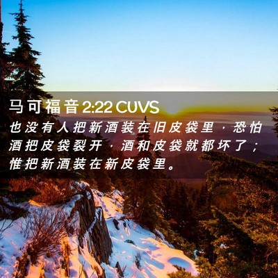 Picture 02 - 马 可 福 音 2:22 CUVS - 也 没 有 人 把 新 酒 装 在 旧 皮 袋 - Bible Verse Picture