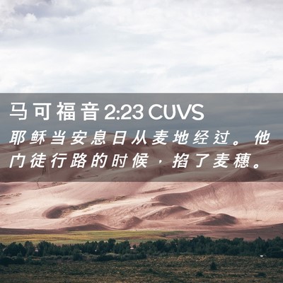Picture 02 - 马 可 福 音 2:23 CUVS - 耶 稣 当 安 息 日 从 麦 地 经 过 。 - Bible Verse Picture