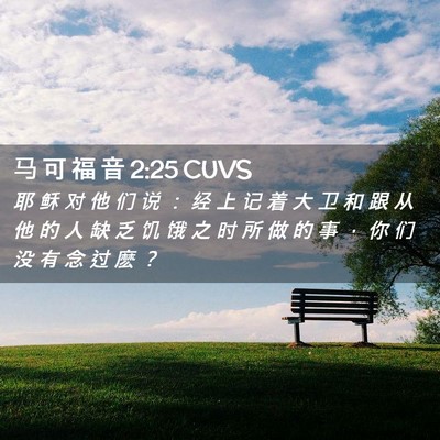 Picture 02 - 马 可 福 音 2:25 CUVS - 耶 稣 对 他 们 说 ： 经 上 记 着 大 - Bible Verse Picture