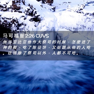 Picture 02 - 马 可 福 音 2:26 CUVS - 他 当 亚 比 亚 他 作 大 祭 司 的 时 - Bible Verse Picture