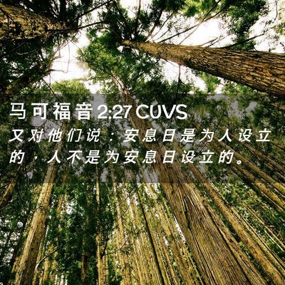 Picture 02 - 马 可 福 音 2:27 CUVS - 又 对 他 们 说 ： 安 息 日 是 为 人 - Bible Verse Picture