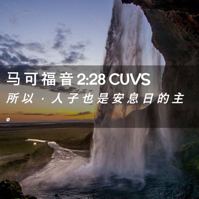 Picture 02 - 马 可 福 音 2:28 CUVS - 所 以 ， 人 子 也 是 安 息 日 的 主 - Bible Verse Picture