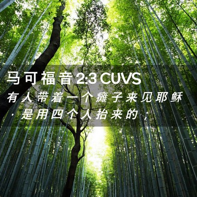 Picture 02 - 马 可 福 音 2:3 CUVS - 有 人 带 着 一 个 瘫 子 来 见 耶 稣 - Bible Verse Picture