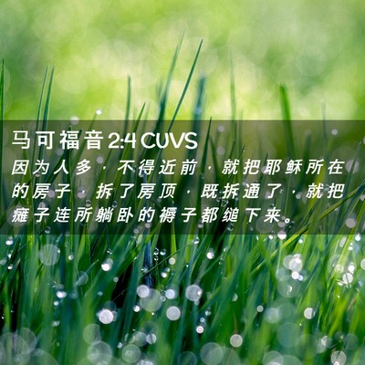Picture 02 - 马 可 福 音 2:4 CUVS - 因 为 人 多 ， 不 得 近 前 ， 就 把 - Bible Verse Picture