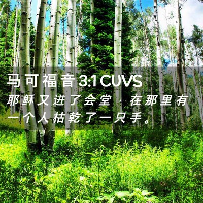 Picture 02 - 马 可 福 音 3:1 CUVS - 耶 稣 又 进 了 会 堂 ， 在 那 里 有 - Bible Verse Picture