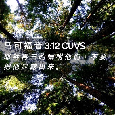 Picture 02 - 马 可 福 音 3:12 CUVS - 耶 稣 再 三 的 嘱 咐 他 们 ， 不 要 - Bible Verse Picture