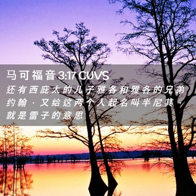 Picture 02 - 马 可 福 音 3:17 CUVS - 还 有 西 庇 太 的 儿 子 雅 各 和 雅 - Bible Verse Picture