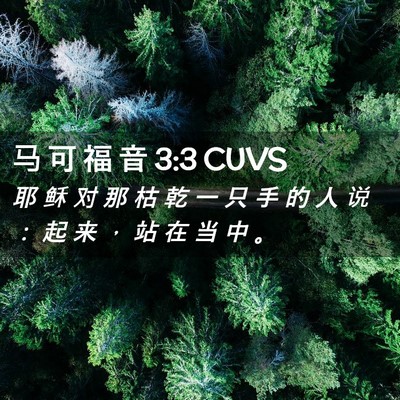 Picture 02 - 马 可 福 音 3:3 CUVS - 耶 稣 对 那 枯 乾 一 只 手 的 人 说 - Bible Verse Picture