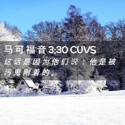 Picture 02 - 马 可 福 音 3:30 CUVS - 这 话 是 因 为 他 们 说 ： 他 是 被 - Bible Verse Picture